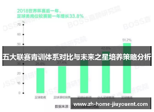 五大联赛青训体系对比与未来之星培养策略分析